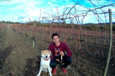 Dino Ciacci from Montalcino, Italy