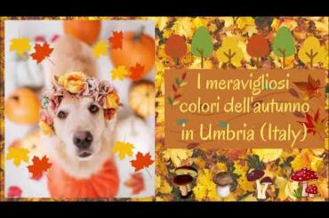 I MERAVIGLIOSI COLORI DELL' AUTUNNO IN UMBRIA (ITALY)- THE WONDERFUL COLORS OF AUTUMN IN UMBRIA