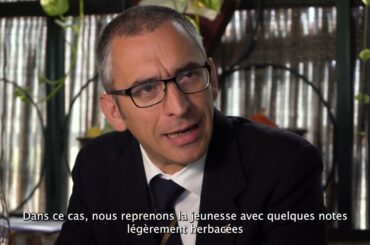 THE WINE SIDE OF ITALY- 01 PIEMONTE