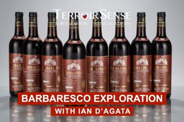 Barbaresco Wine Region Exploration