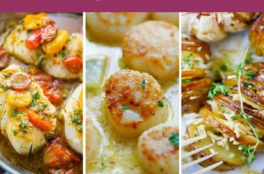 Dine Palace- Fine Dining restaurant Guide