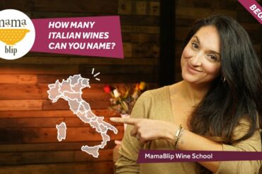 Beginners Guide to italian Wines