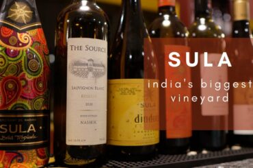 INDIA’s BIGGEST VINEYARD || SULA WINE || NASIK || wine yard || 4K