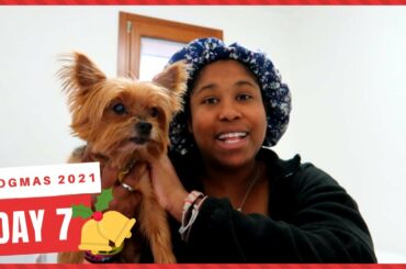 Vlogmas 2021 - Day 7 -We have FINALLY moved to Italy!  - Life in Italy