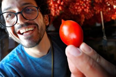 The Holy Grail Of Italian Tomatoes (Piennolo Del Vesuvio)