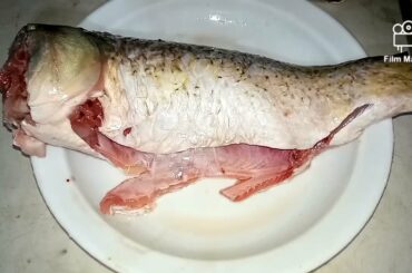 Turkish fishe Italian fishe  irani fishe European fishing Beach fast food street food p  hd 4k 2022