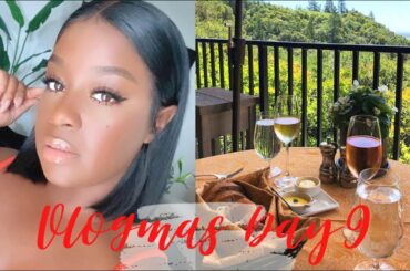 VLOGMAS DAY 9 | AT HOME WINE TASTING | TRADER JOES GROCERY STORE HAUL