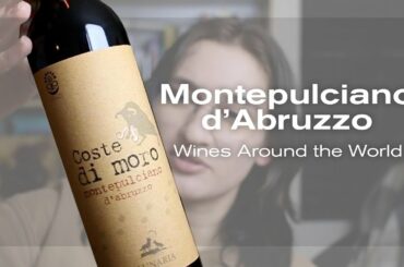 Let's Try Montepulcian d'Abruzzo! Wines Around the World