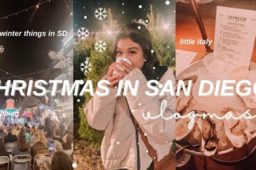 GOODBYE SD | torrey pines hikes, december nights, little italy bar hopping | vlogmas day 4