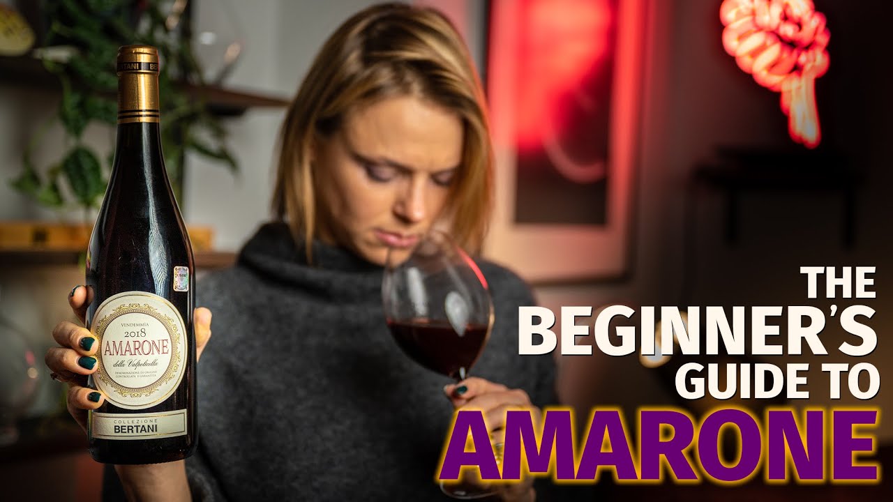 The Beginners Guide to AMARONE Wines The Beginners Guide to AMARONE Wines