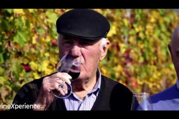 Azienda Agricola La Sclusa - Friuli Italy