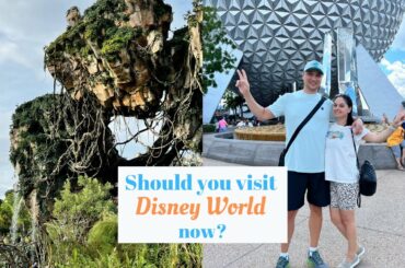 Disney World Parks - Animal Kingdom Pandora & Epcot Food And Wine Festival 2021