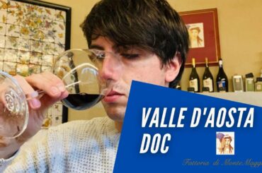 An Italian Wine Journey- Ep.1 Valle D'Aosta