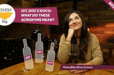 BEGINNER ITALIAN WINE GUIDE: Quality Classifications for Wine from Italy Igt, DOC, DOCG