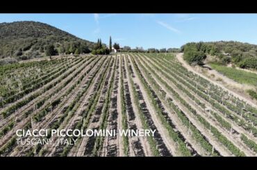 Ciacci Piccolomini Winery Tuscany Italy Drone Flyover