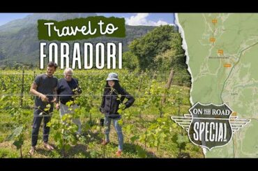 Foradori Winery, Travel Italy! (Italian Wine Podcasts' 'On the Road Edition' with Stevie Kim)