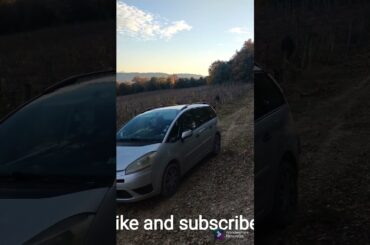 BEAUTIFUL VIEW OF ITALIAN WINE YARD