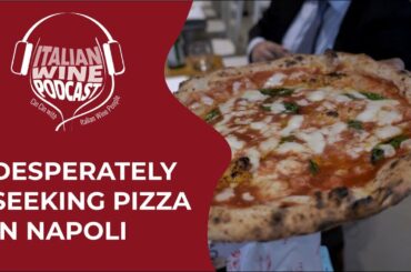 Desperately Seeking #Pizza - Teaser