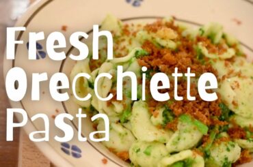 How to Make Fresh Orecchiette Pasta | Classic Italian Pasta Recipes