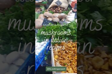 Colourful types of mushrooms in Italian recipes