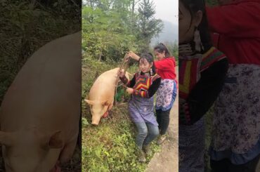 Cooking Eating Yummy Foods