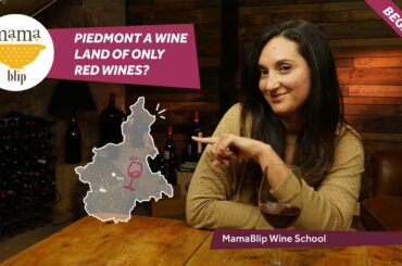 Italian Wine Regions - Piemonte (Piedmont)