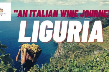 An Italian Wine Journey- Ep.3 Liguria