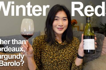 Red Wine Ideas for Winter | Sommelier Favorite Picks