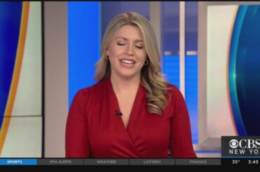 CBS2 Puts Italian-American Christmas Staple Panettone To The Taste Test