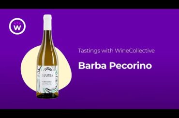 Wine Tastings with WineCollective | Barba Pecorino