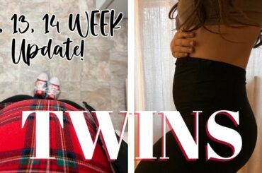 Twin Pregnancy Update Weeks 12-14 - nausea, bump, feeling PREGNANT