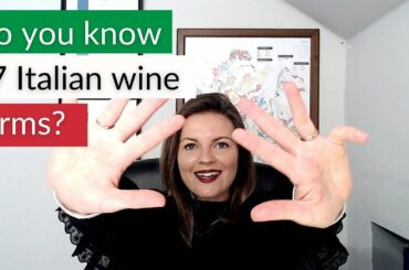 Top 17 Common Italian Wine Terms YOU NEED TO KNOW | Wine 101 | Wine Education & Pronunciation