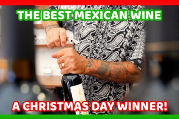 5 Mexican Wines You Must Try!  A MovingtoMexi.co Christmas Special! Did you win a week in Mexico?