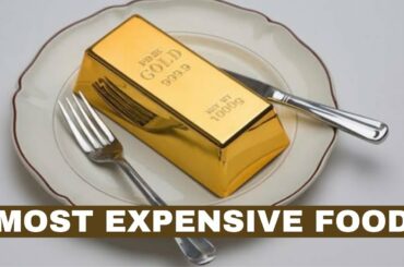 10 most expensive Meals in the World
