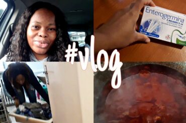 #Vlog/ LIFE IN ITALY/ Laundry, Cooking and Errands