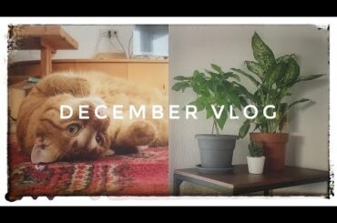 December Vlog | Life In The Mountains | Italy | cine