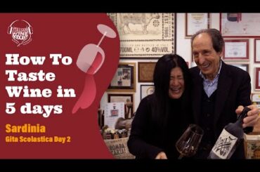 How to taste wine in 5 days -  Sardinia Gita Scolastica Pt. 2 - Travel On The Road with Stevie Kim!