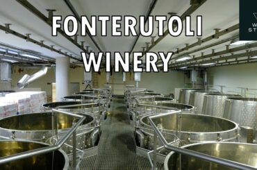 HOW BRILLIANT WINES ARE MADE at Fonterutoli Winery in Italy