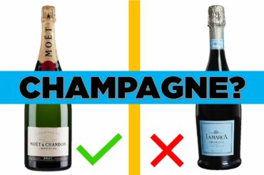 Champagne Explained: The difference between Sparkling Wines|Champagne | Cava | Prosecco | California