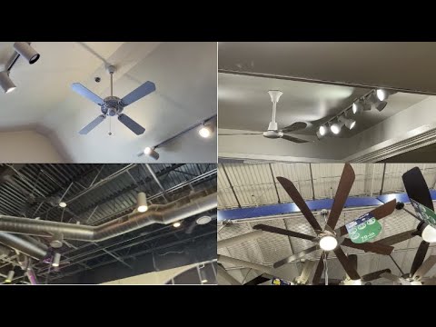 Public Fan Sightings Compilation (2021) Public Fan Sightings Compilation (2021)