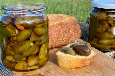 Italian OLIVES homemade original recipe - Best Way to Preserve Olive at Home