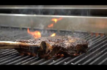 Seminole Hard Rock Hotel & Casino Tampa - Fine Dining