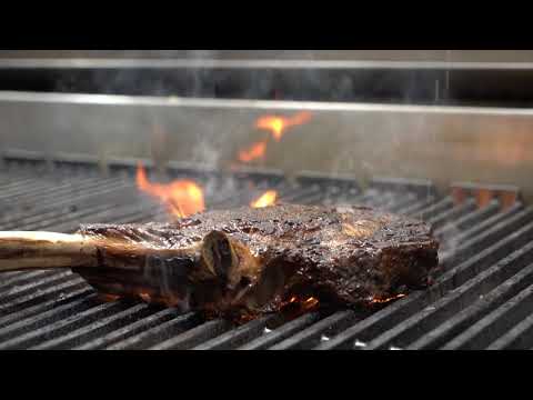 Seminole Hard Rock Hotel & Casino Tampa – Fine Dining Seminole Hard Rock Hotel & Casino Tampa - Fine Dining