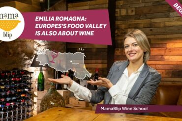 Beginners Guide to italian Wines: Emilia Romagna