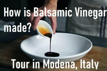 How balsamic is made : Tour in Modena, Italy