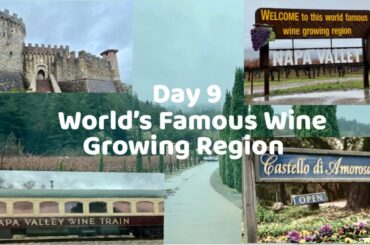 USA | Day 9 | Napa, California | Family Travel | Flawlessome