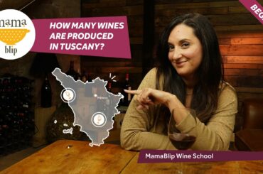 Beginners Guide to italian Wines: Tuscany