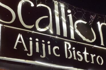 Scallion-Ajijic Bistro.   Dining Drinking & Dancing.   6 nights a week    Also Breakfast and Lunch