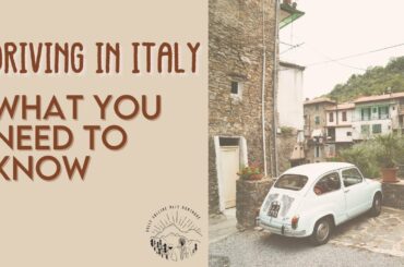 Getting your Italian Drivers License l Moving to Italy