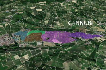 Italy - Barolo: discover the Cannubi MGA from the 3D view of Saturnalia